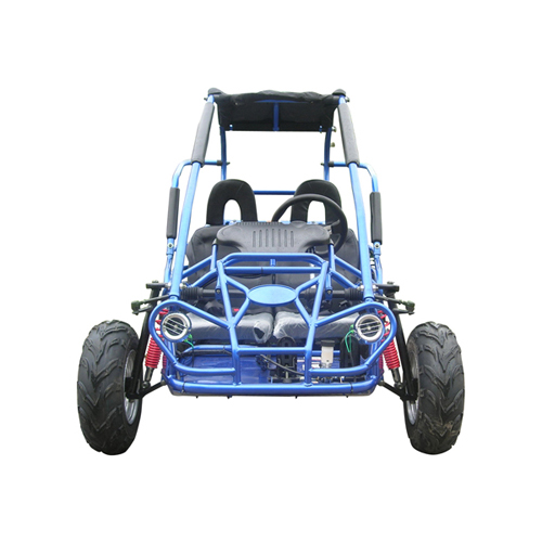 kids petrol buggy