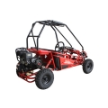 Mini Road Buggy çocuklar 5.5HP kırmızı için kapalı 