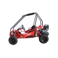 Mini Road Buggy çocuklar 5.5HP kırmızı için kapalı 