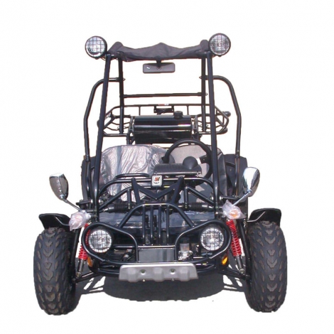 4 tekerlek Off Road Buggy yarış