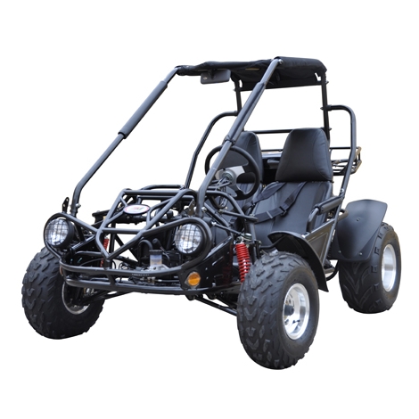 Yetişkin Kart gitmek 150 XRS