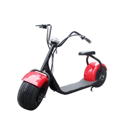 City Big Electric Motorbike For Adults