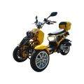 50cc 3 tekerlek gaz Scooter Trike Motorycycle 