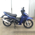 Yavru Motorcyce 125cc 17